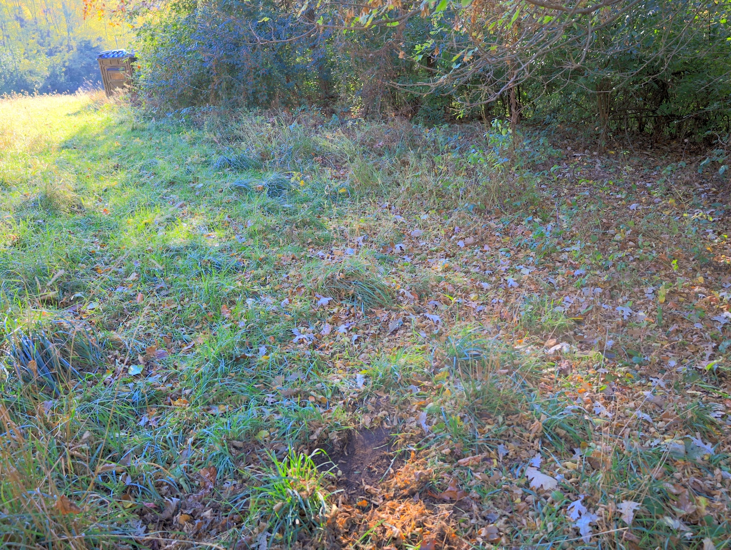 000 Mountain Lane, Freeport, IL 61032