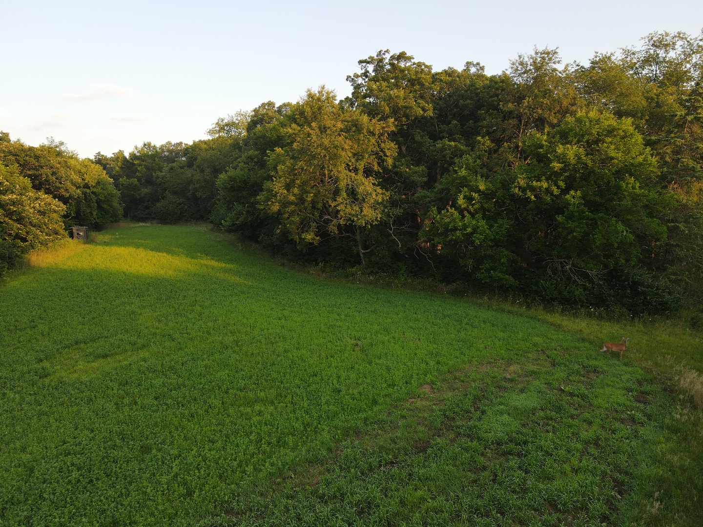 000 Mountain Lane, Freeport, IL 61032
