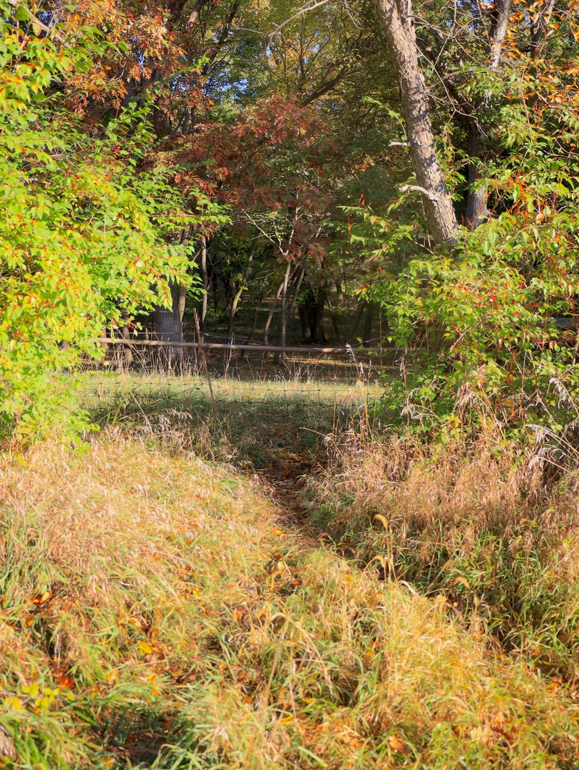 000 Mountain Lane, Freeport, IL 61032