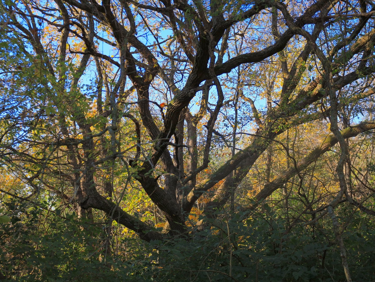 000 Mountain Lane, Freeport, IL 61032