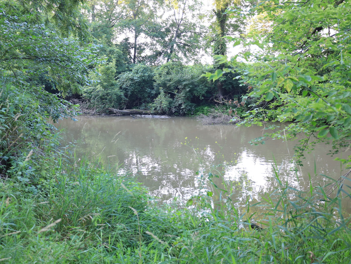 000 Mountain Lane, Freeport, IL 61032