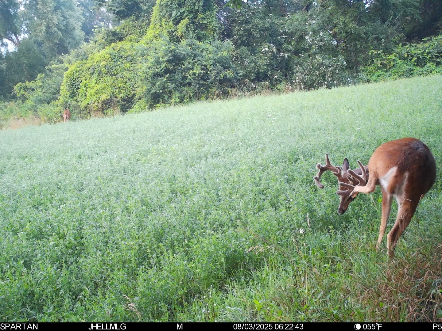 000 Mountain Lane, Freeport, IL 61032