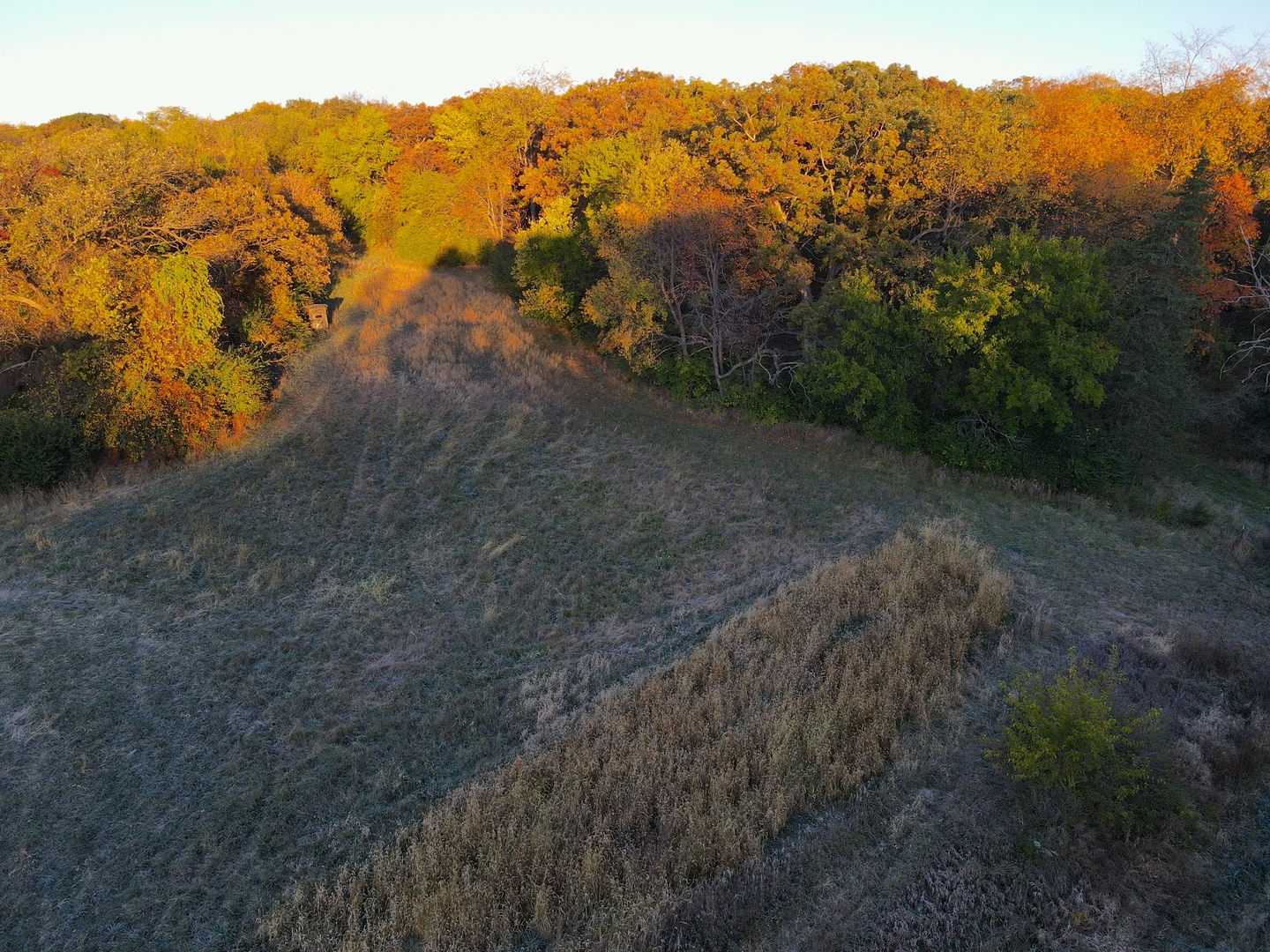 000 Mountain Lane, Freeport, IL 61032