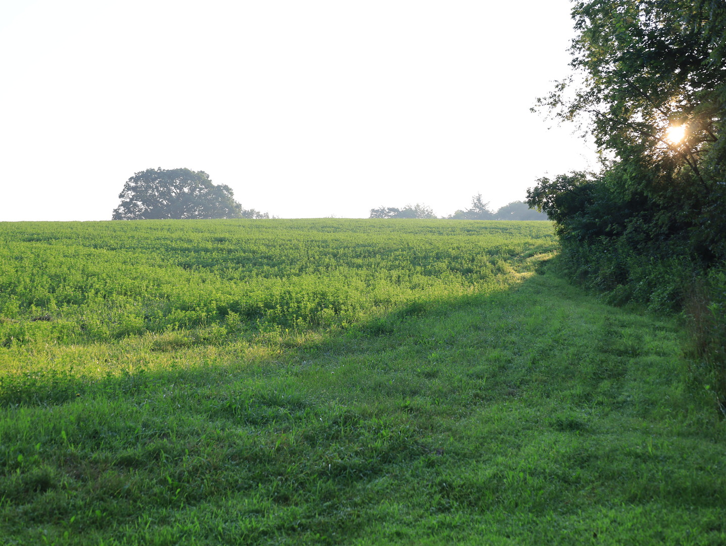 000 Mountain Lane, Freeport, IL 61032