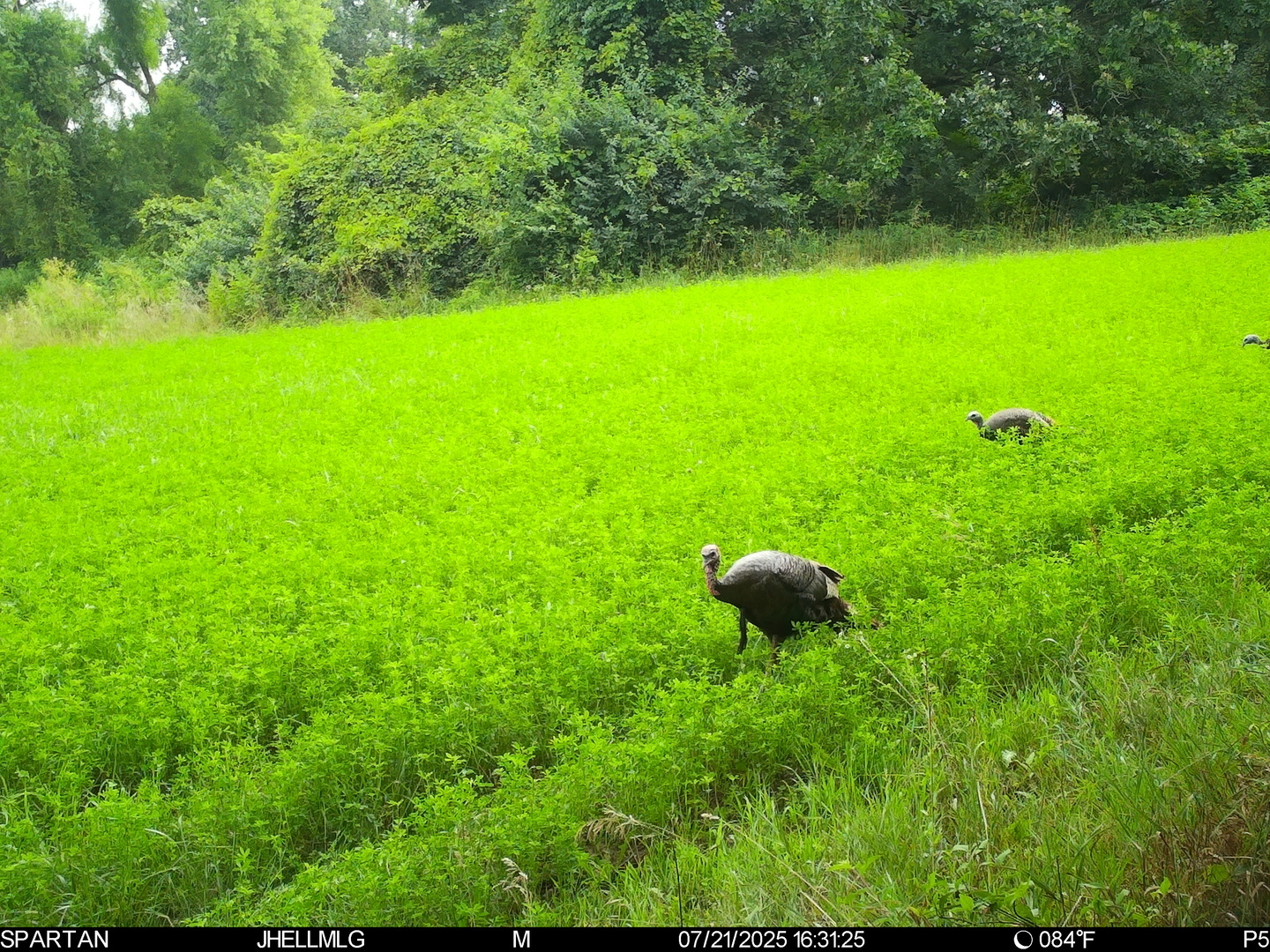 000 Mountain Lane, Freeport, IL 61032