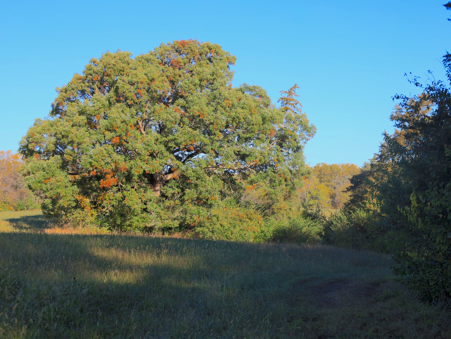 000 Mountain Lane, Freeport, IL 61032