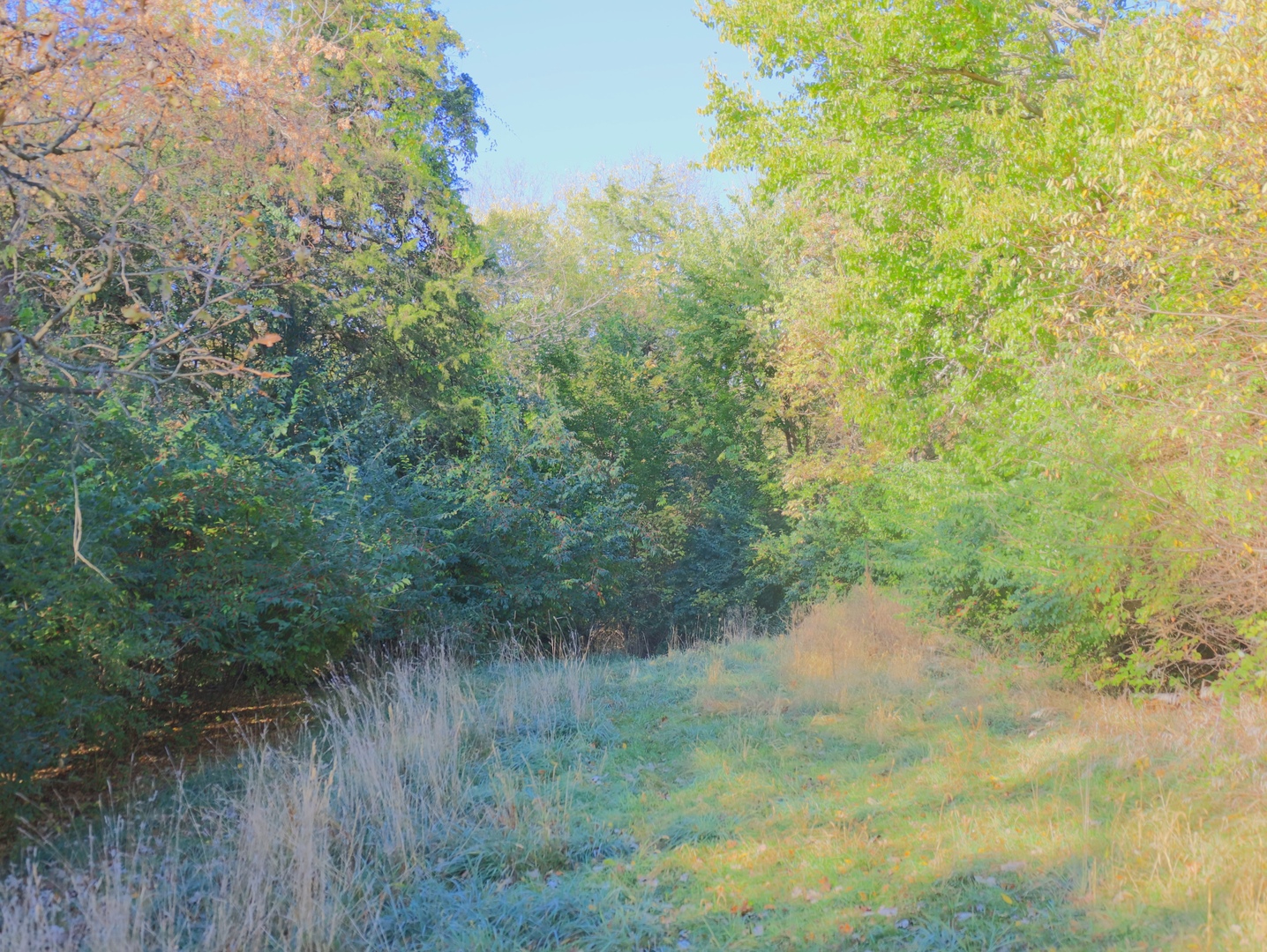 000 Mountain Lane, Freeport, IL 61032