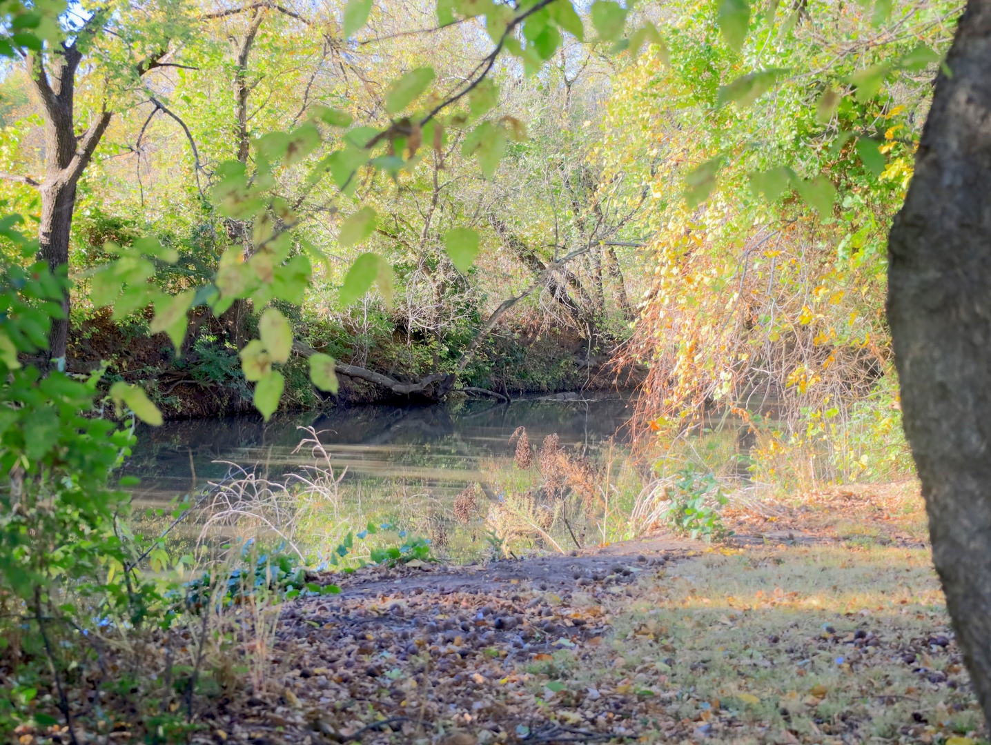 000 Mountain Lane, Freeport, IL 61032