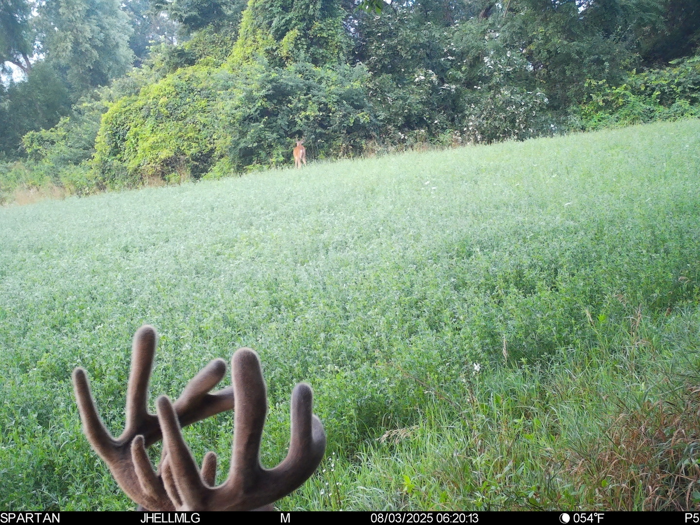 000 Mountain Lane, Freeport, IL 61032