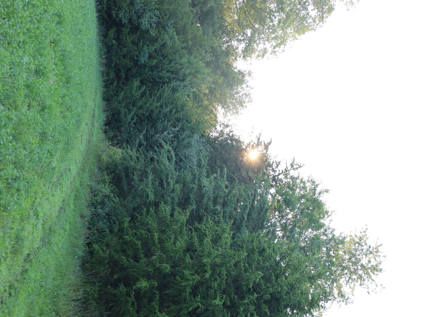000 Mountain Lane, Freeport, IL 61032