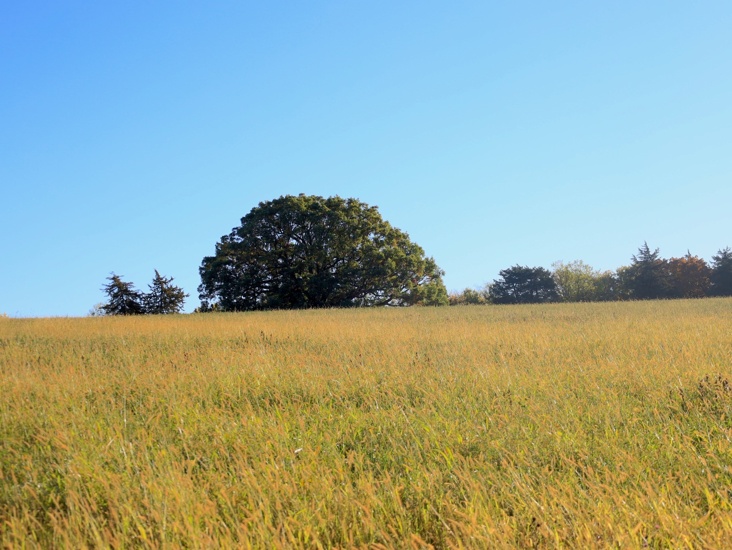 000 Mountain Lane, Freeport, IL 61032