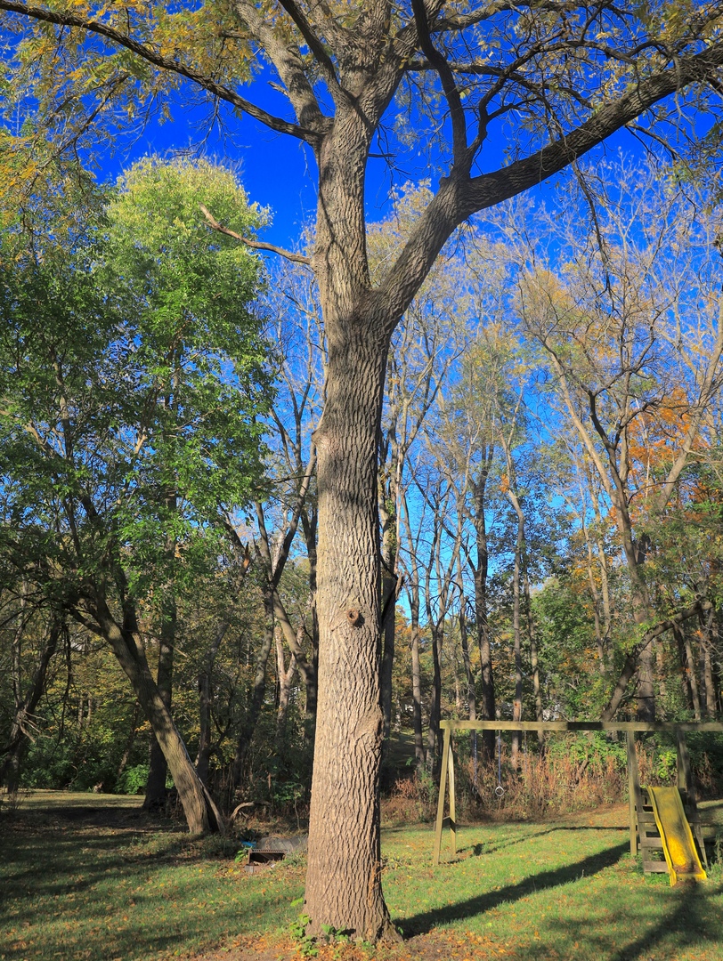 000 Mountain Lane, Freeport, IL 61032