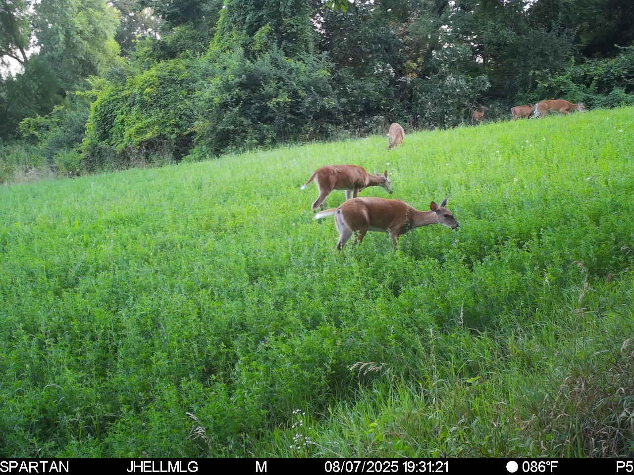 000 Mountain Lane, Freeport, IL 61032