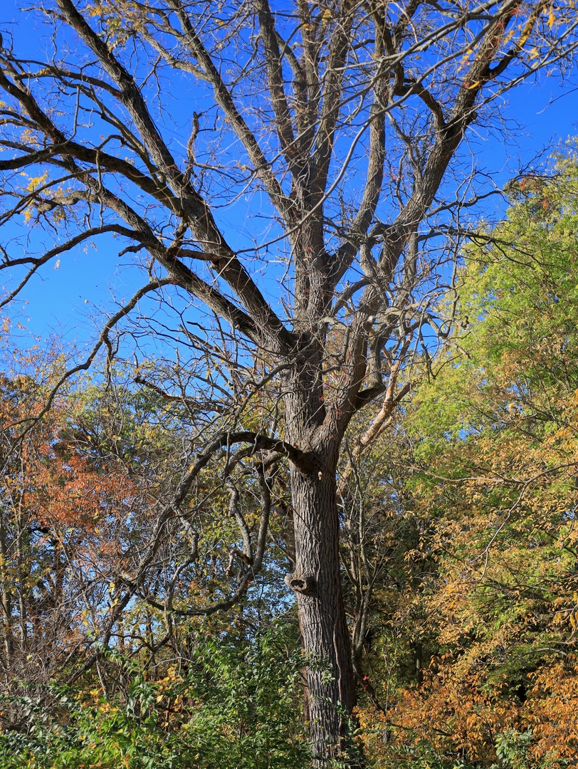 000 Mountain Lane, Freeport, IL 61032