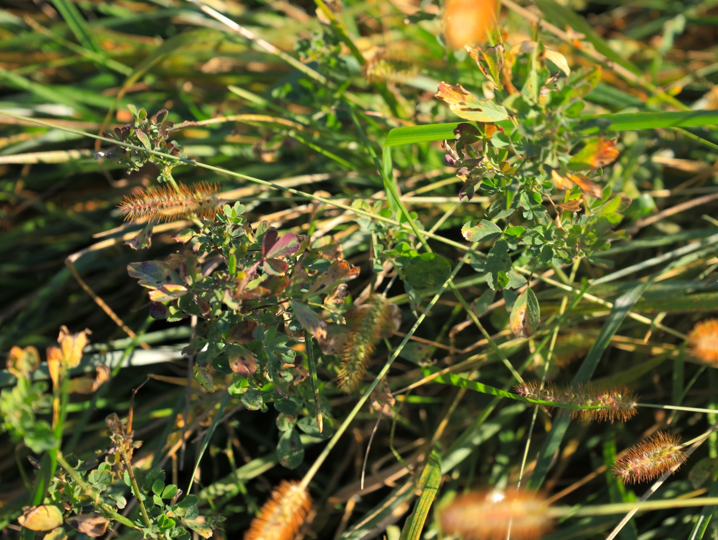 000 Mountain Lane, Freeport, IL 61032