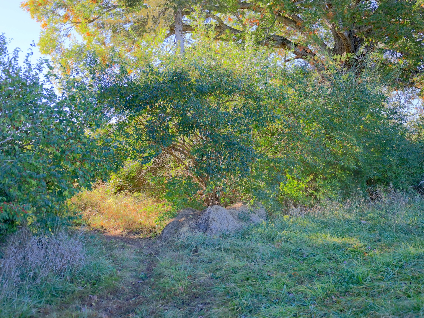 000 Mountain Lane, Freeport, IL 61032