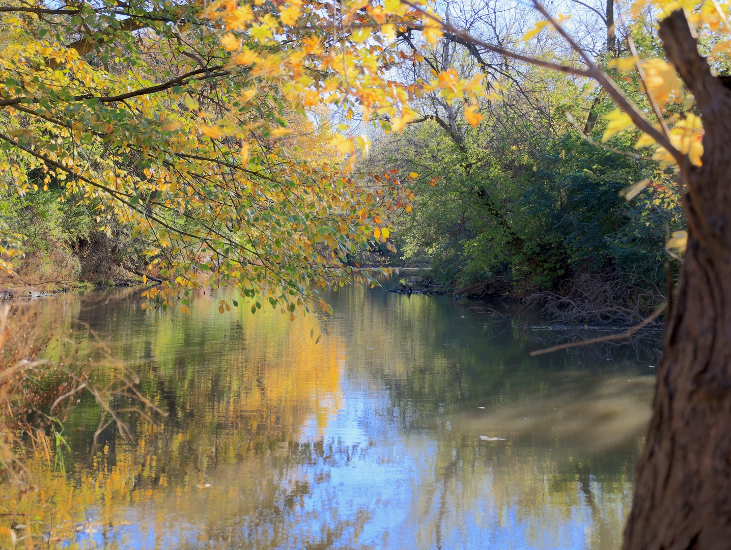 000 Mountain Lane, Freeport, IL 61032