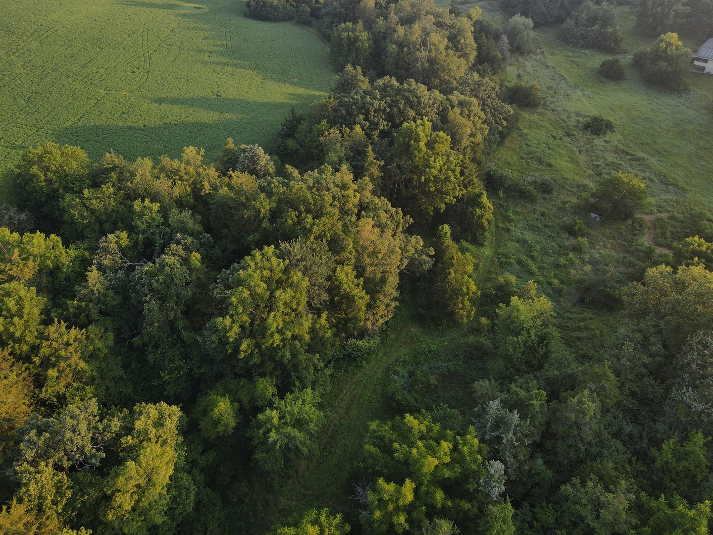 000 Mountain Lane, Freeport, IL 61032