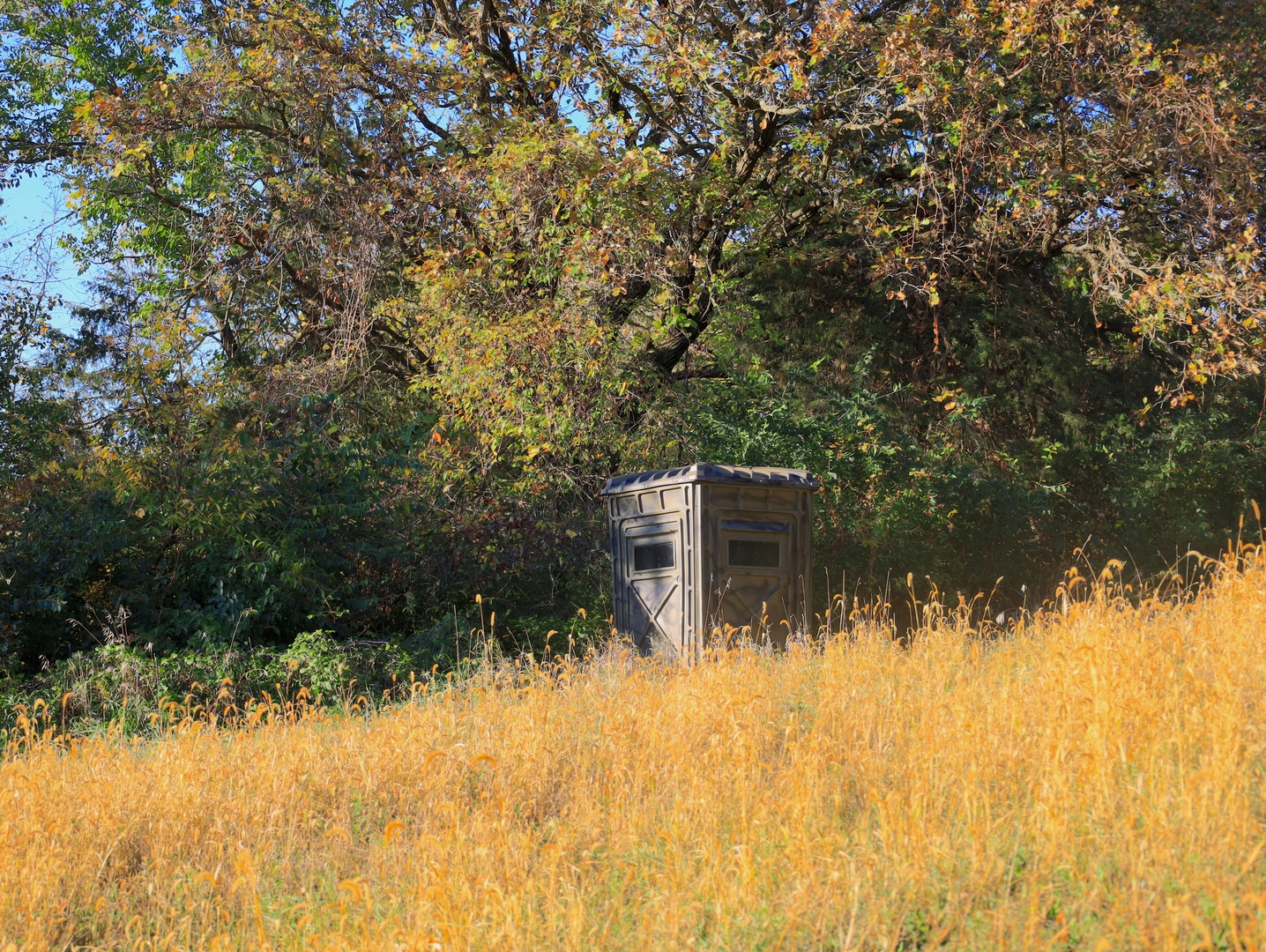 000 Mountain Lane, Freeport, IL 61032