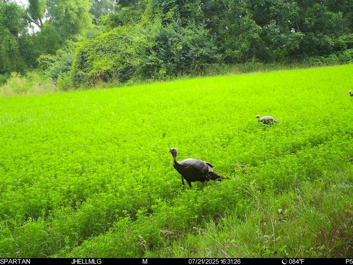 000 Mountain Lane, Freeport, IL 61032