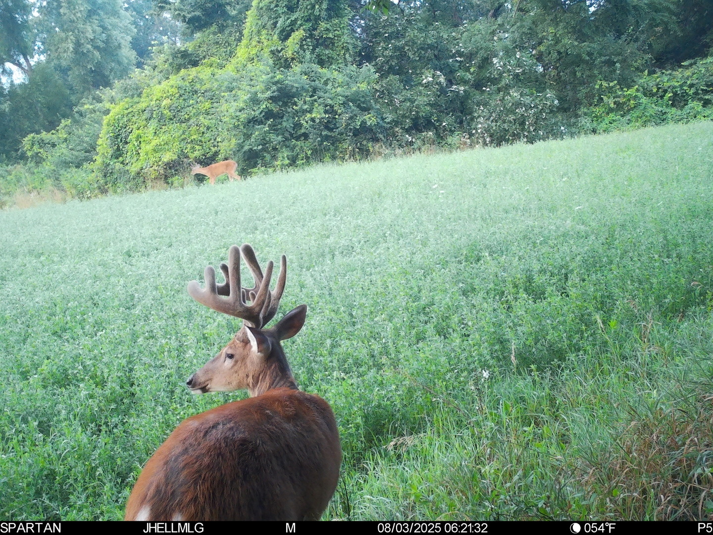 000 Mountain Lane, Freeport, IL 61032