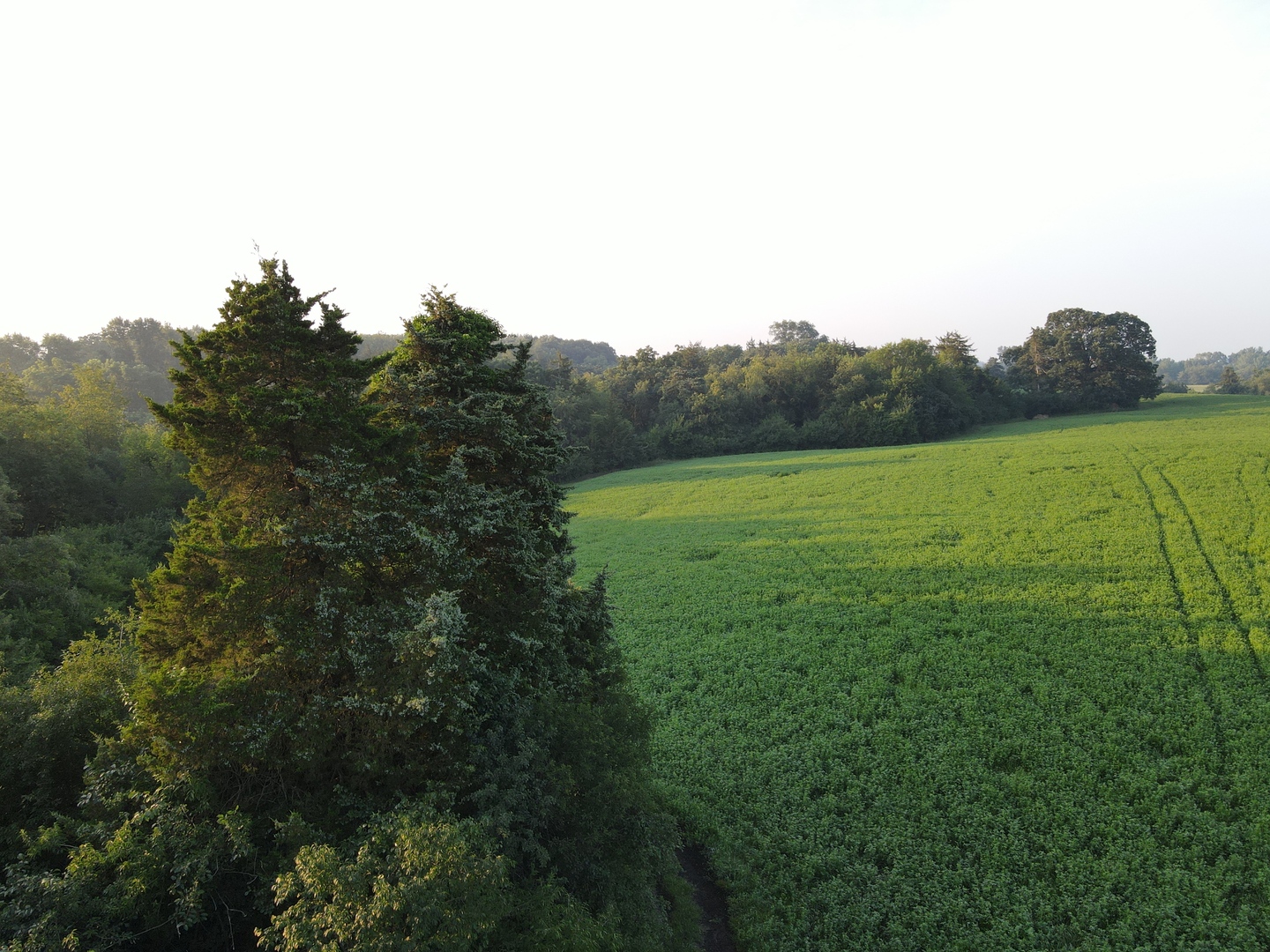 000 Mountain Lane, Freeport, IL 61032