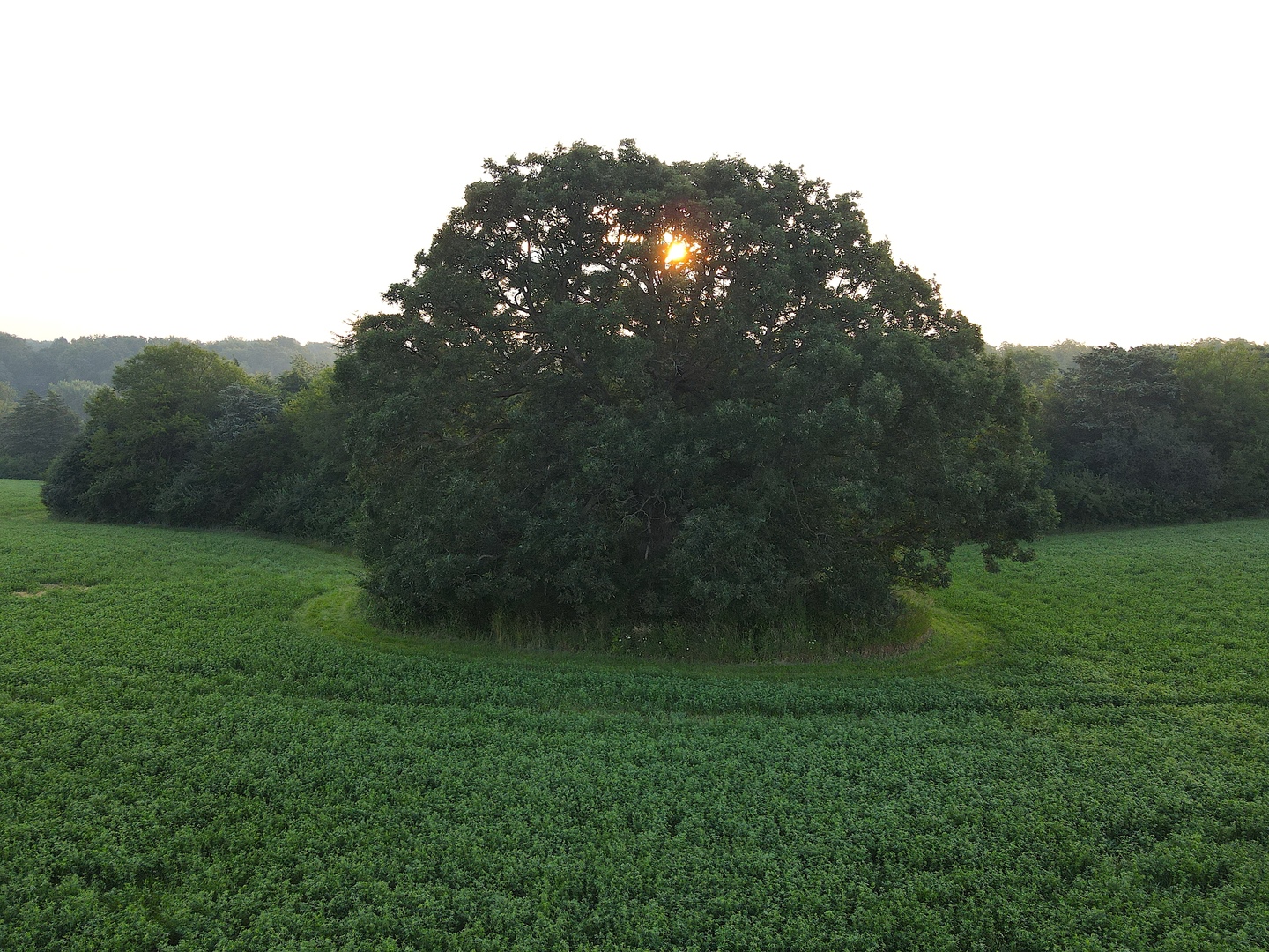 000 Mountain Lane, Freeport, IL 61032