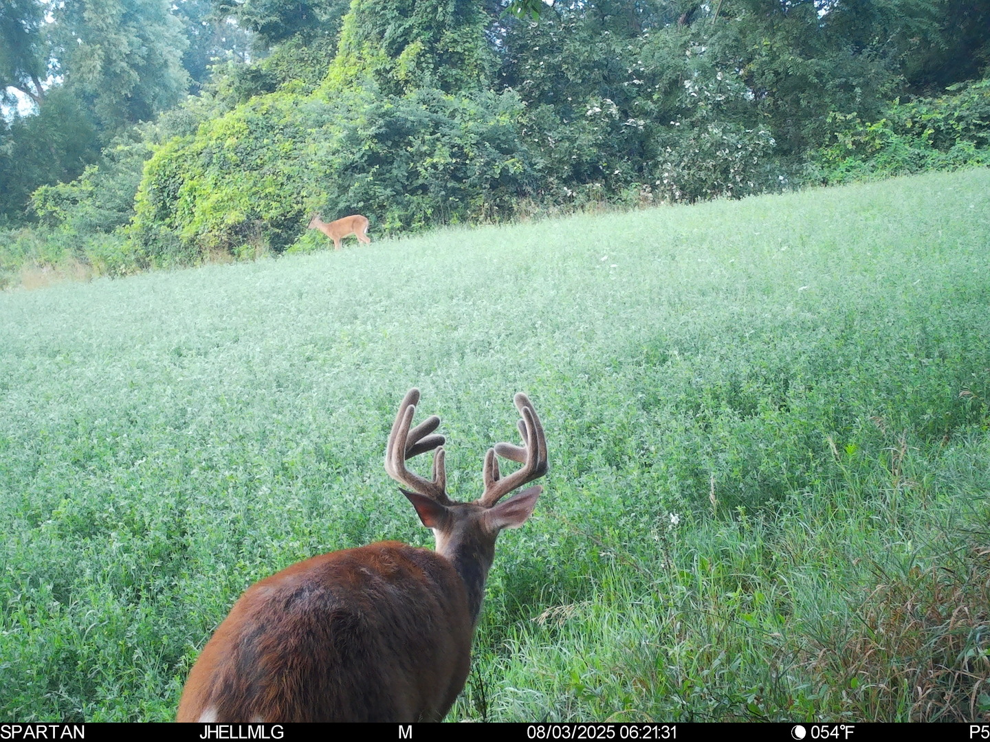 000 Mountain Lane, Freeport, IL 61032