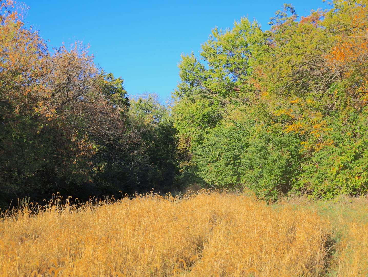 000 Mountain Lane, Freeport, IL 61032