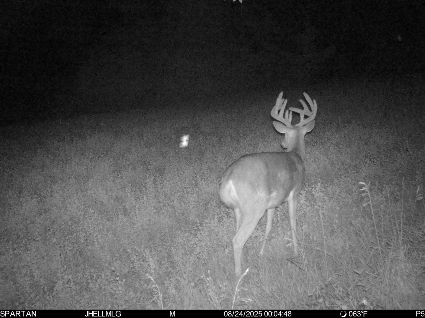 000 Mountain Lane, Freeport, IL 61032