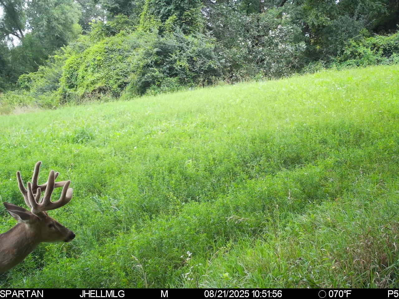 000 Mountain Lane, Freeport, IL 61032