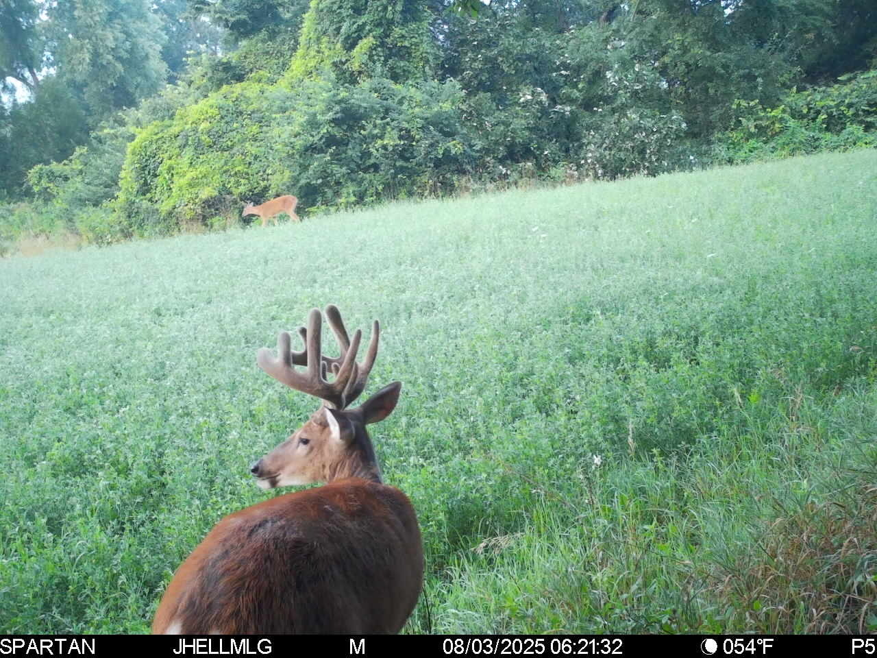 000 Mountain Lane, Freeport, IL 61032