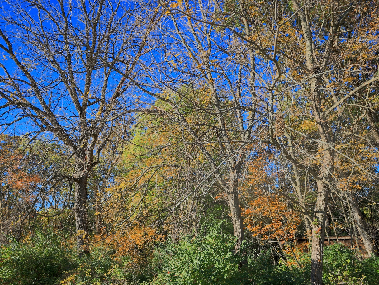 000 Mountain Lane, Freeport, IL 61032