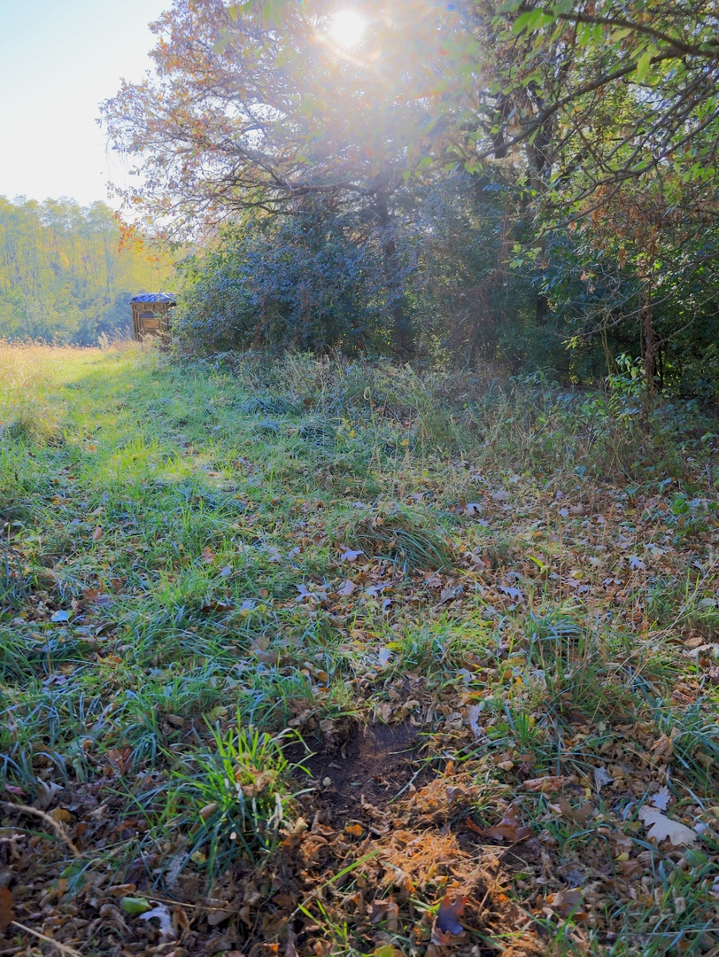 000 Mountain Lane, Freeport, IL 61032