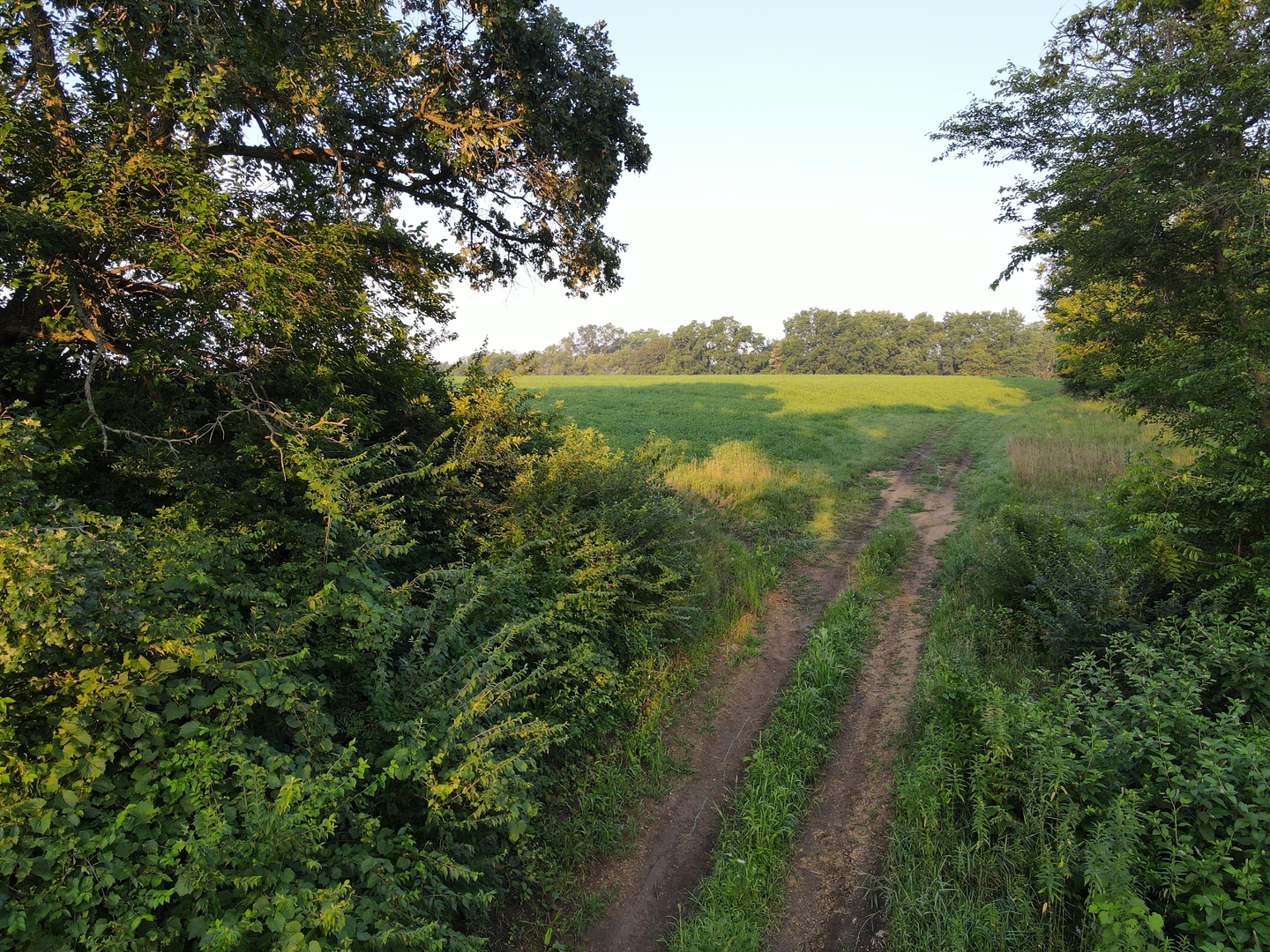 000 Mountain Lane, Freeport, IL 61032