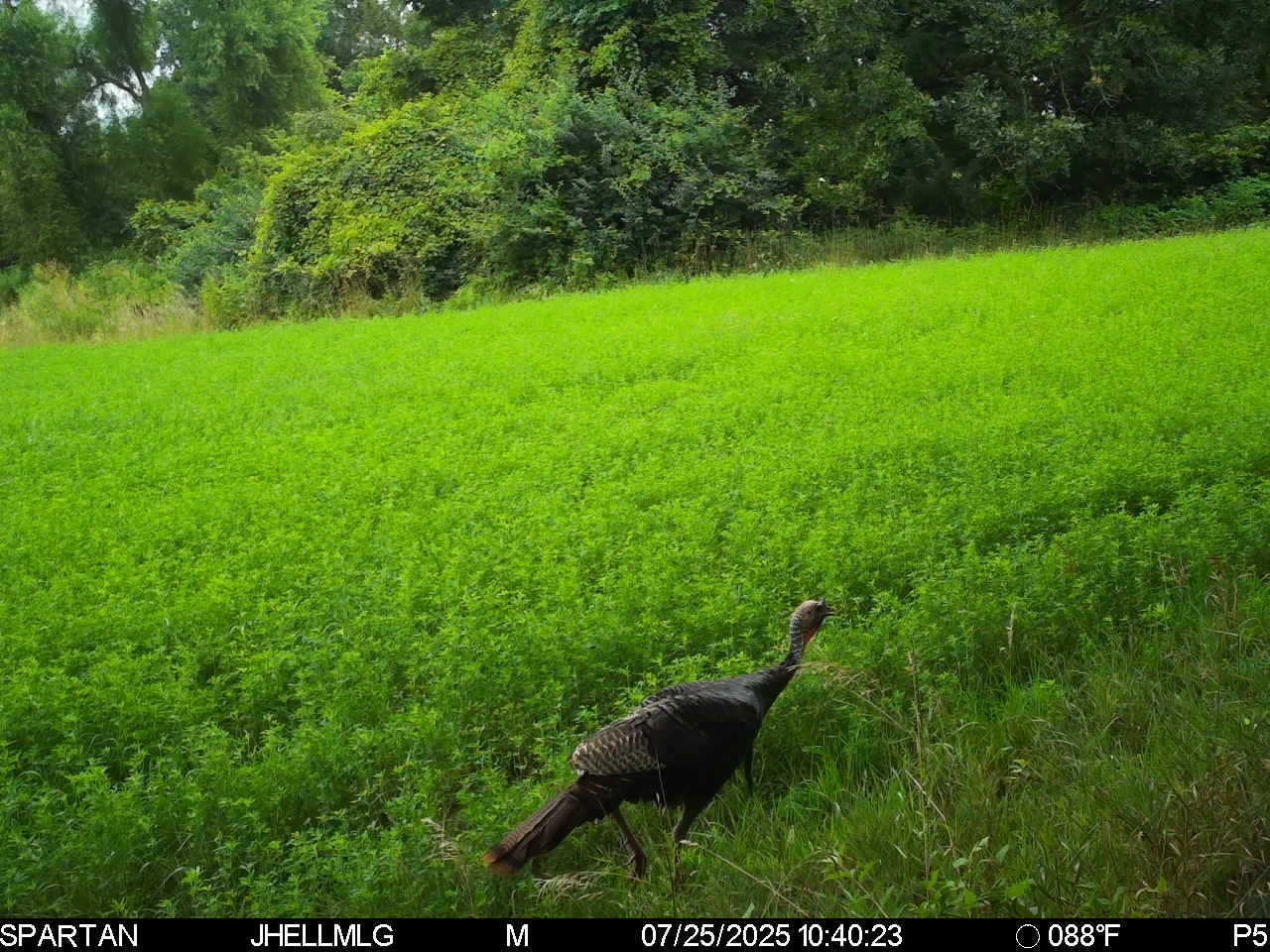 000 Mountain Lane, Freeport, IL 61032