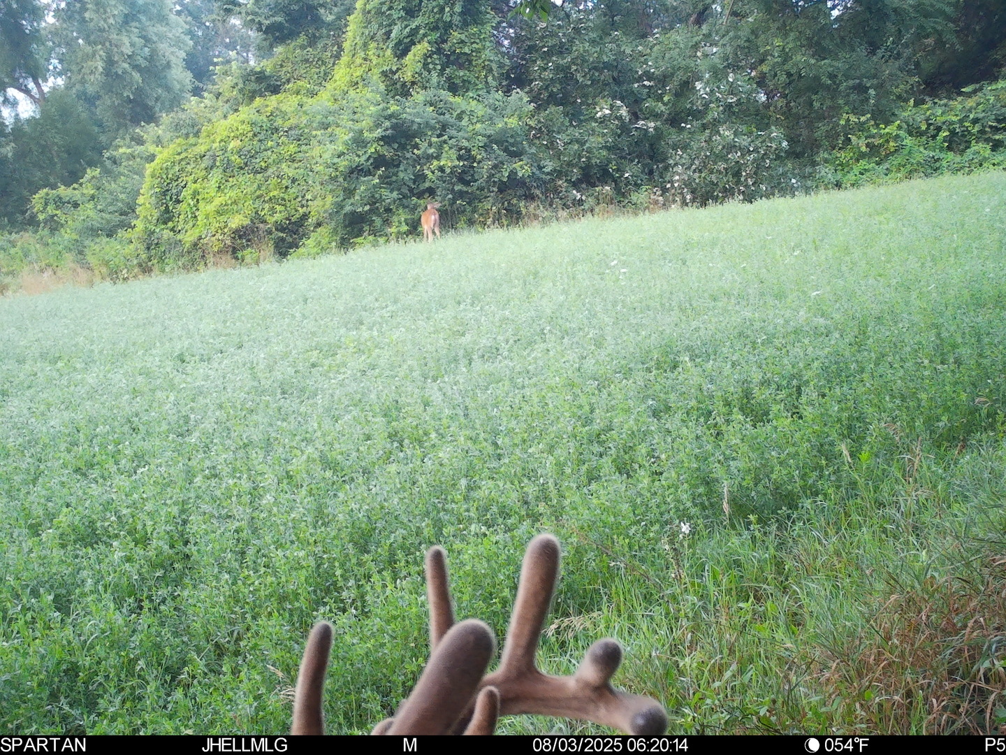 000 Mountain Lane, Freeport, IL 61032