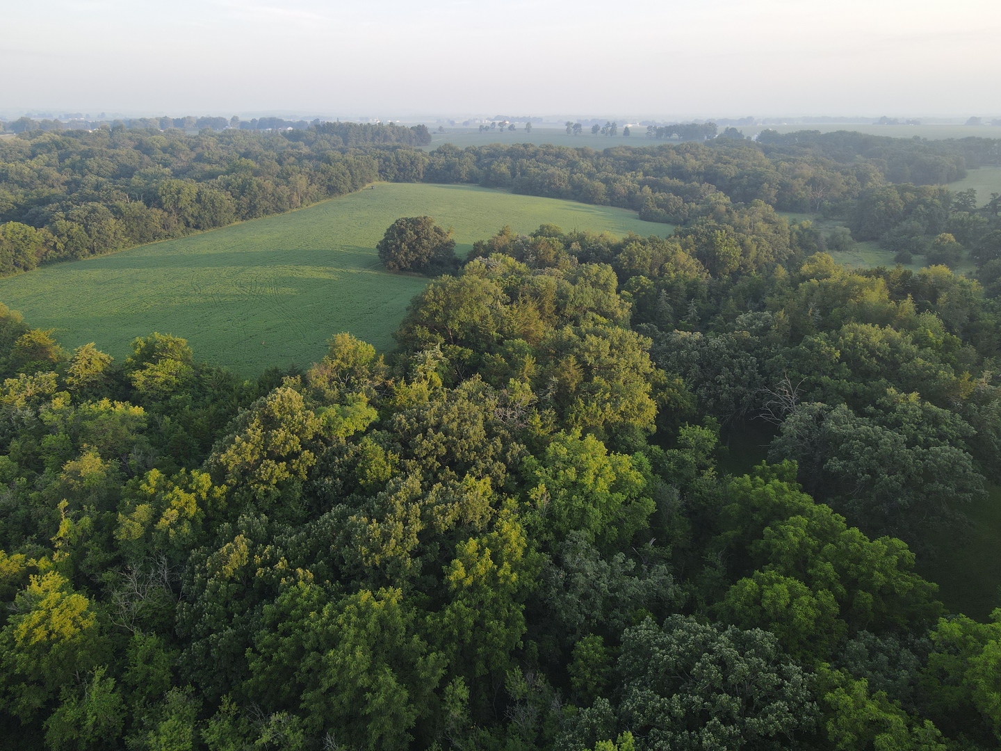 000 Mountain Lane, Freeport, IL 61032