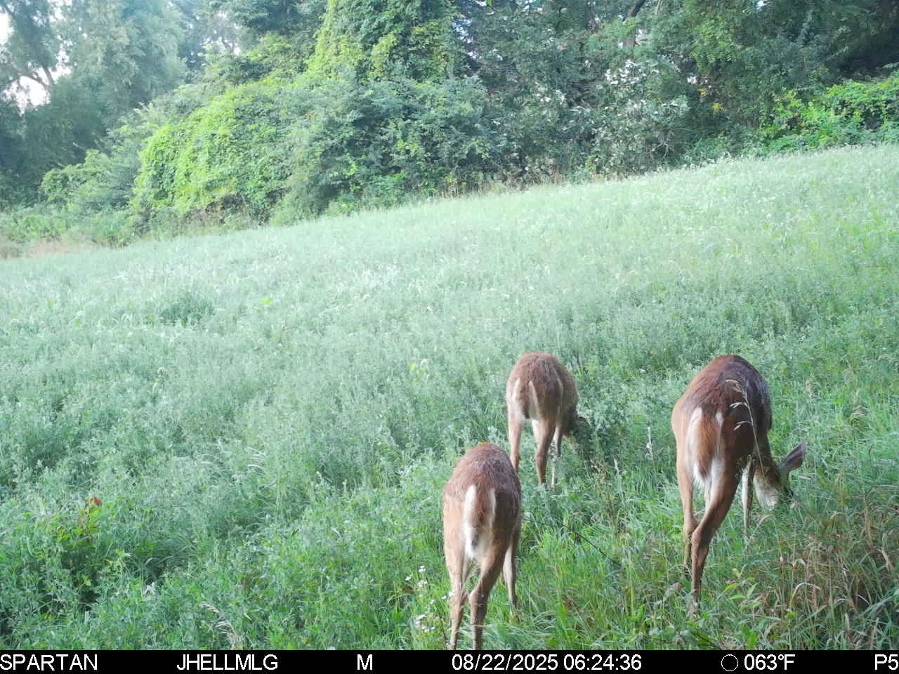 000 Mountain Lane, Freeport, IL 61032