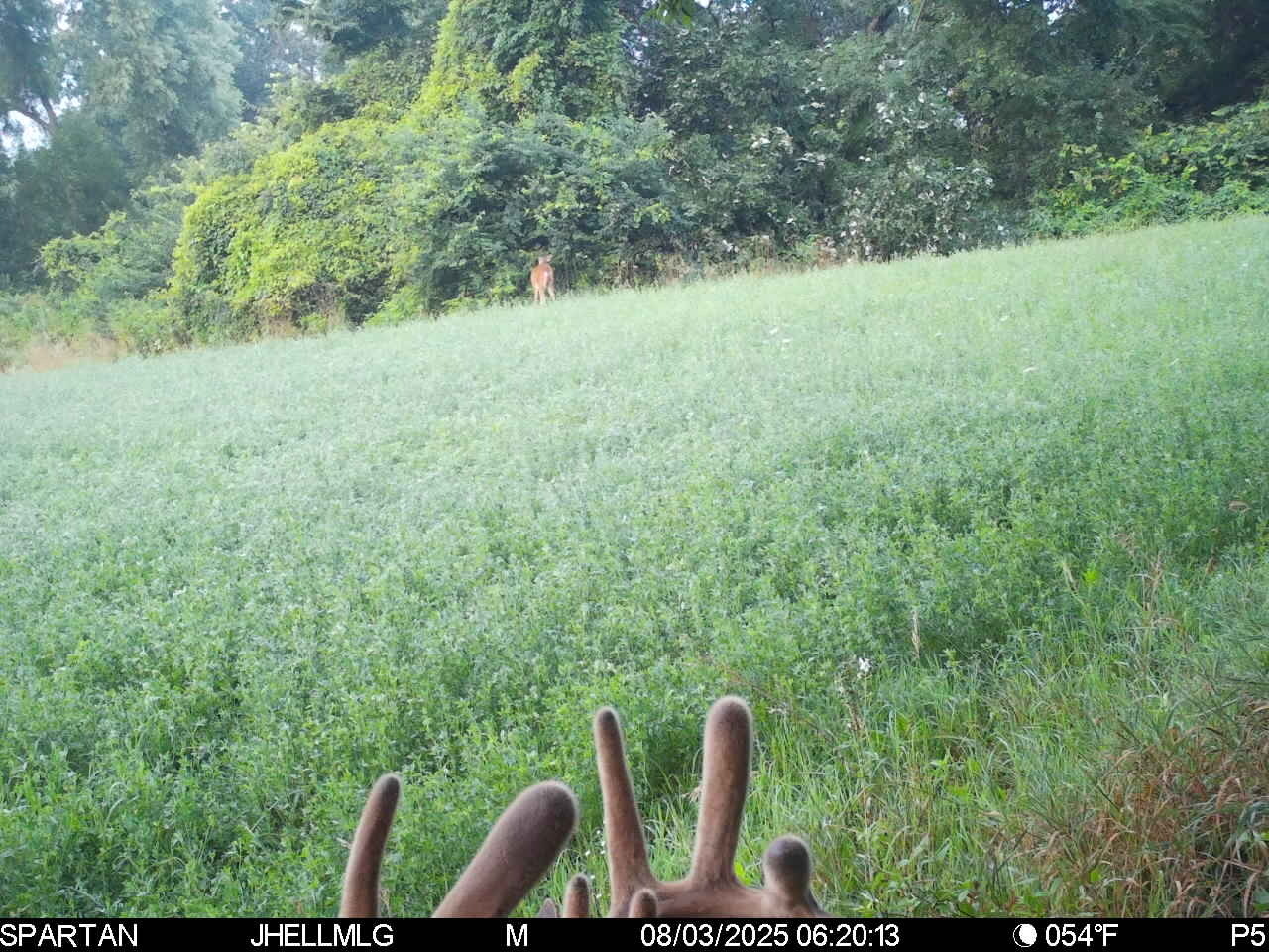 000 Mountain Lane, Freeport, IL 61032