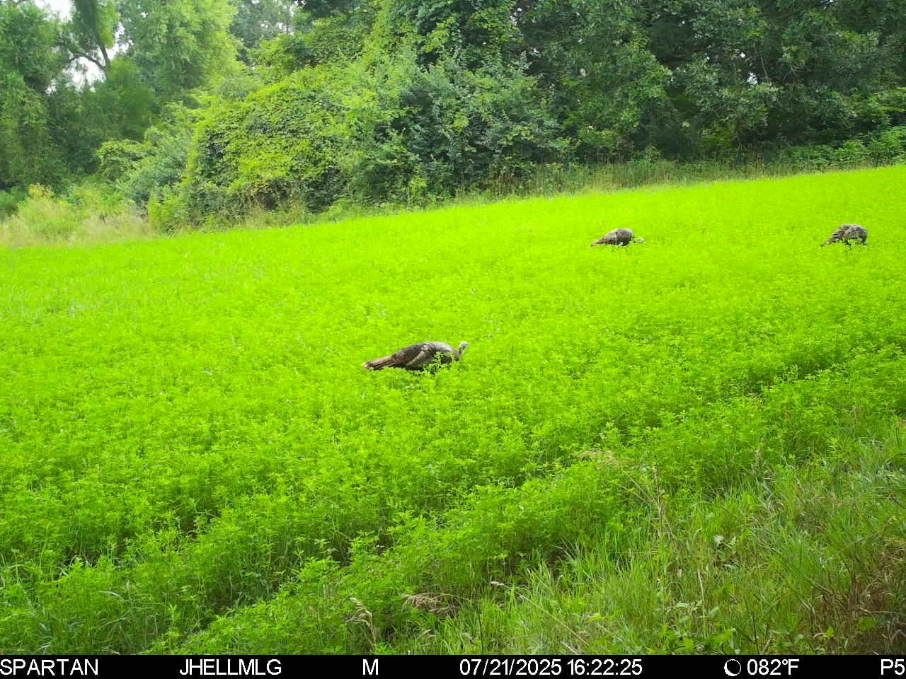 000 Mountain Lane, Freeport, IL 61032