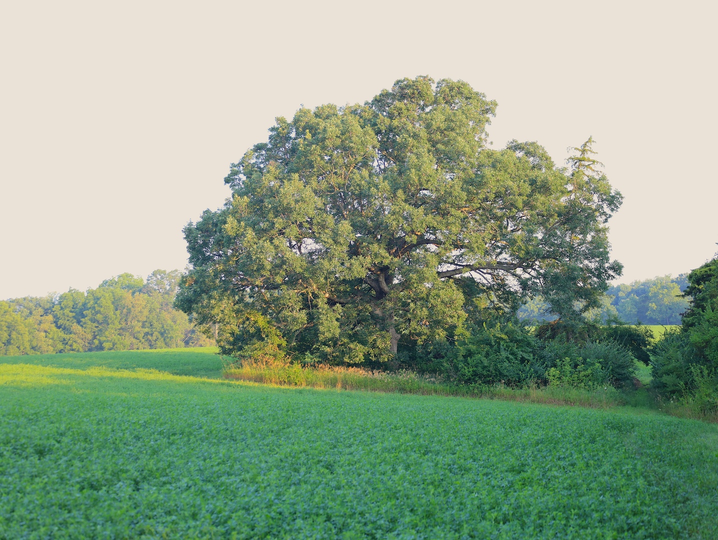 000 Mountain Lane, Freeport, IL 61032