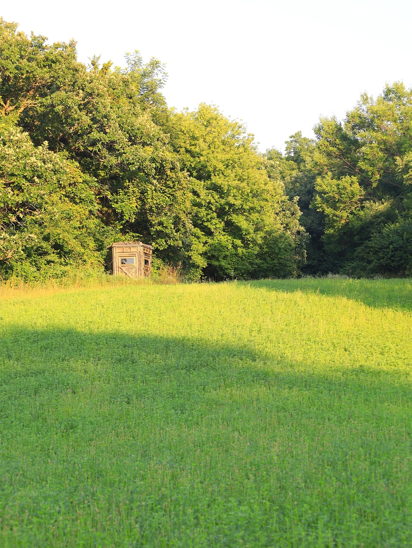 000 Mountain Lane, Freeport, IL 61032