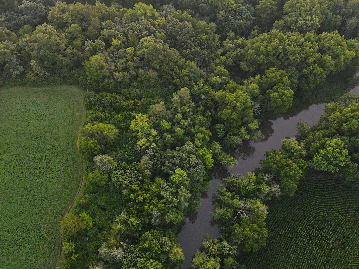 000 Mountain Lane, Freeport, IL 61032