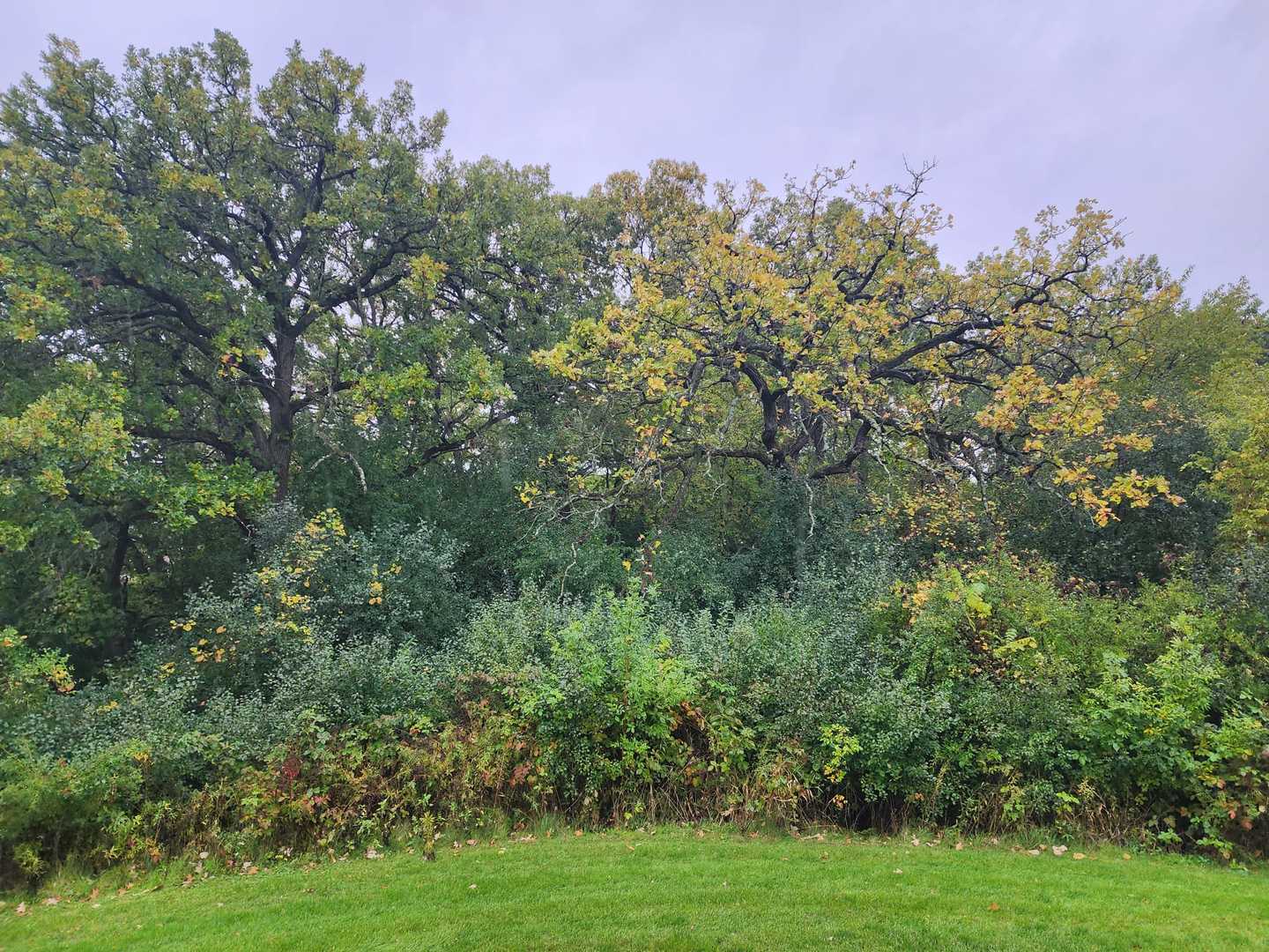 320 Crestview Drive #B, Wauconda, IL 60084