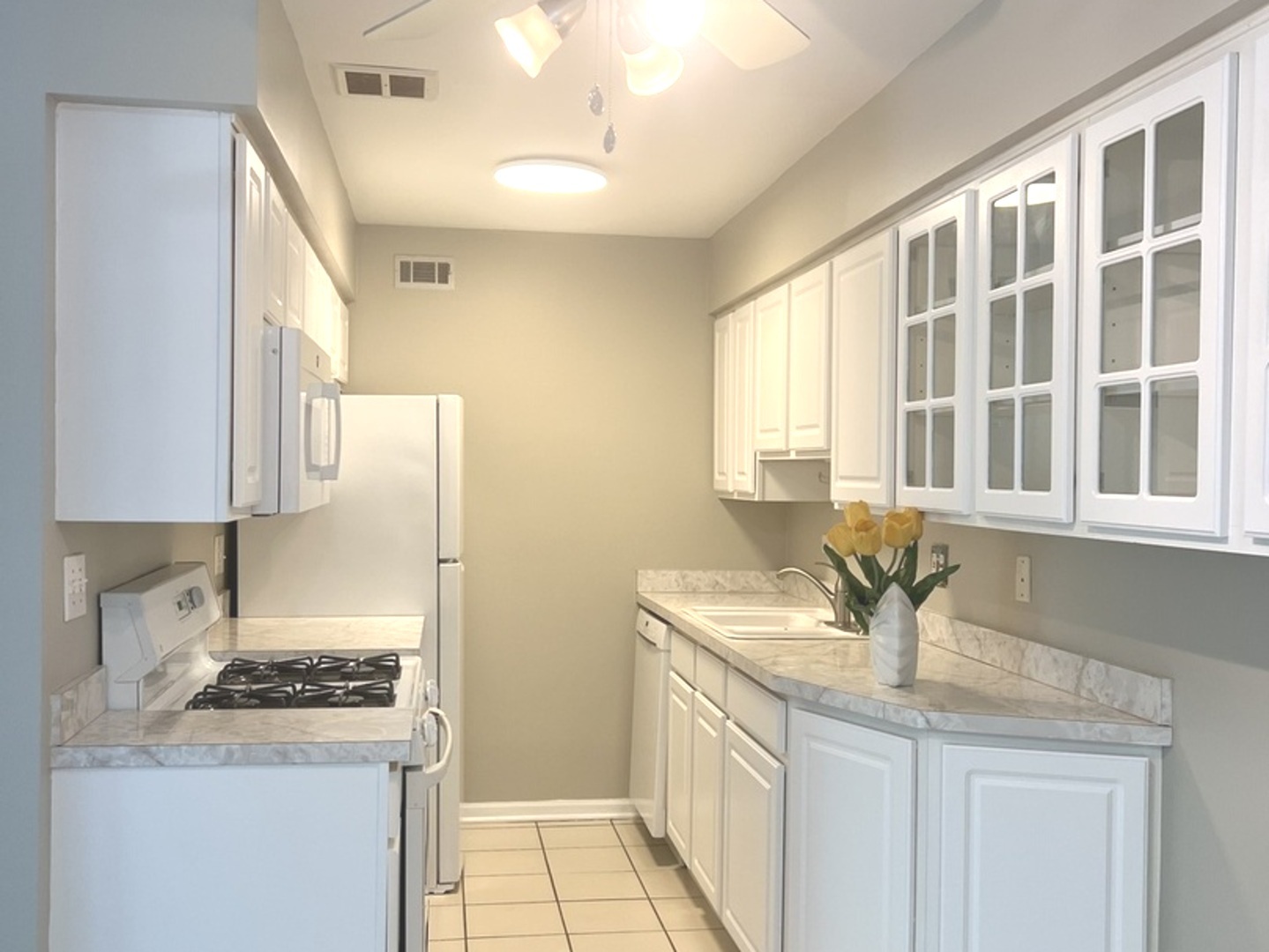 1505 N Windsor Drive #206, Arlington Heights, IL 60004