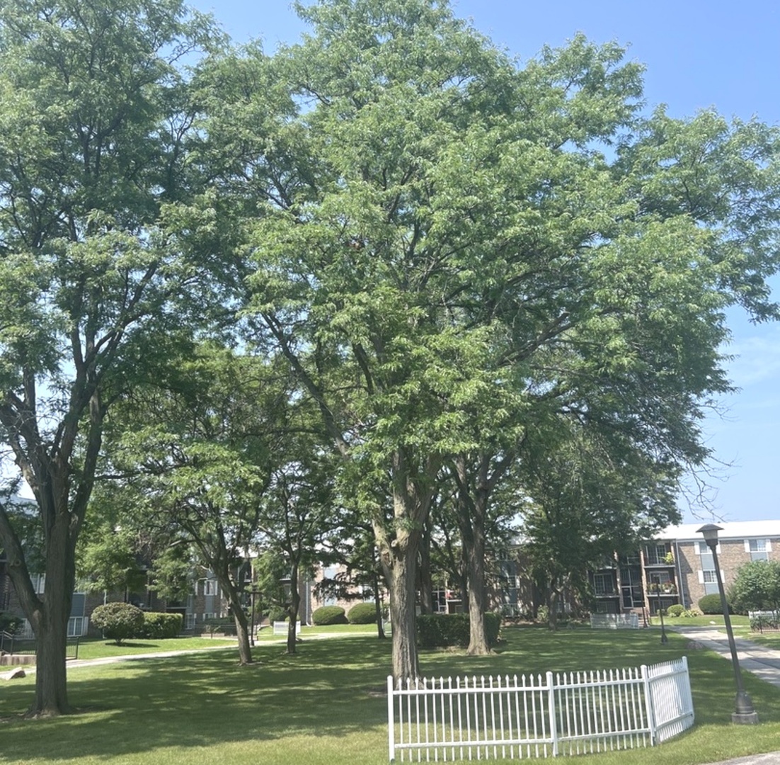 1505 N Windsor Drive #206, Arlington Heights, IL 60004