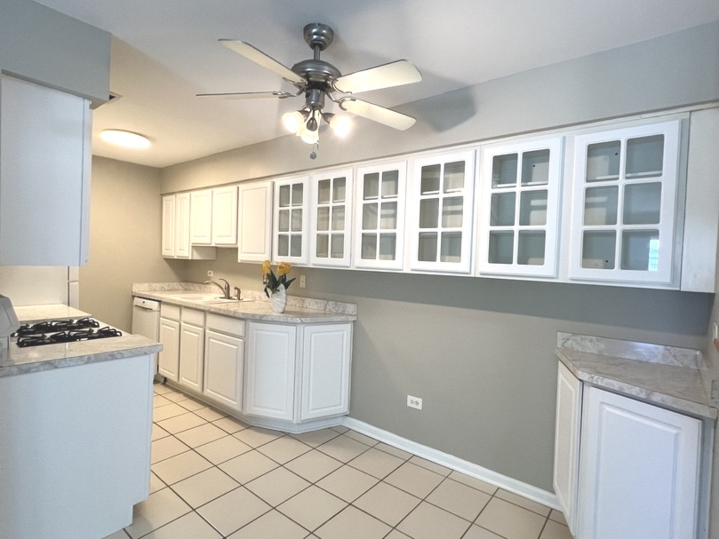 1505 N Windsor Drive #206, Arlington Heights, IL 60004