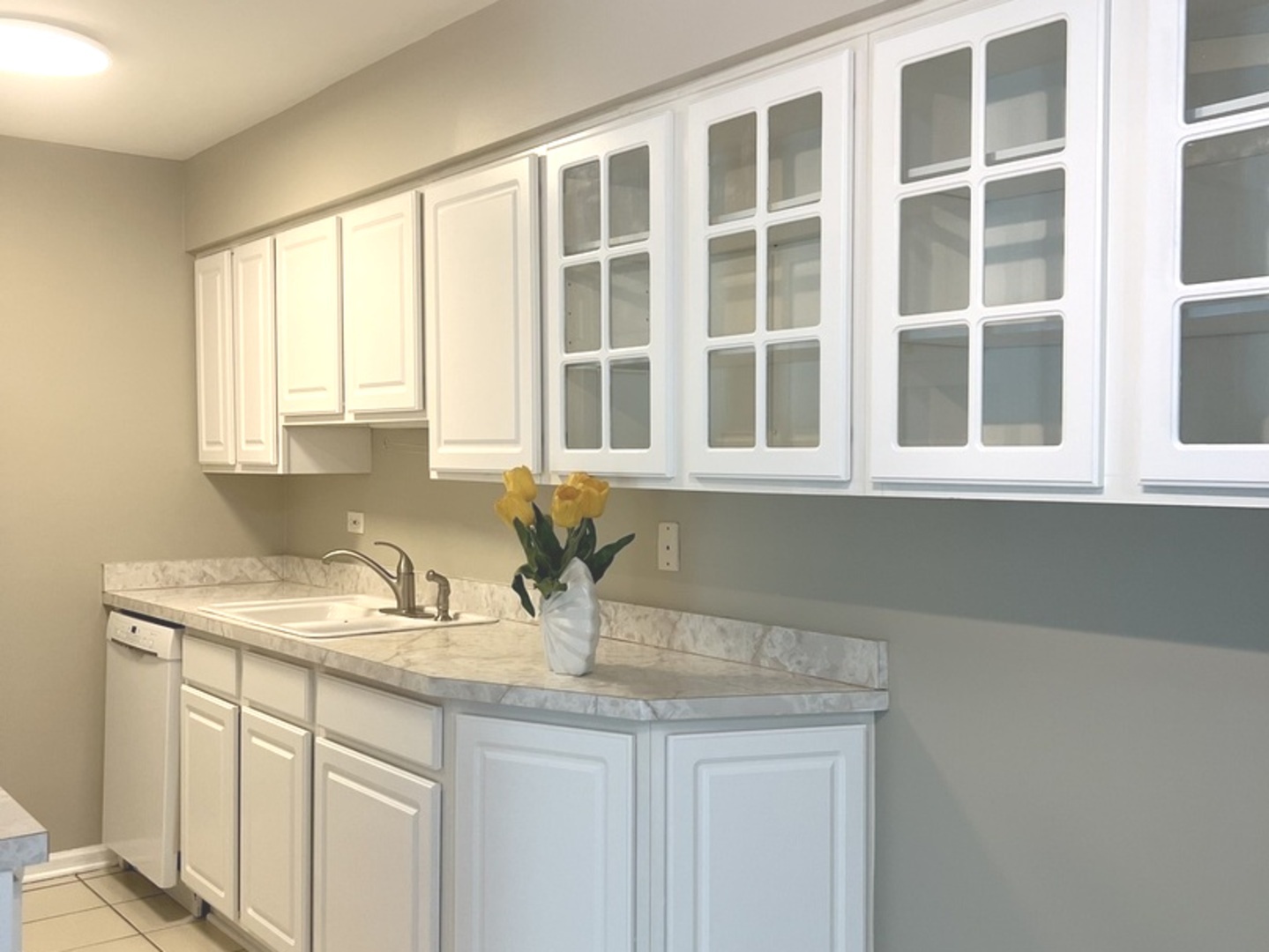 1505 N Windsor Drive #206, Arlington Heights, IL 60004