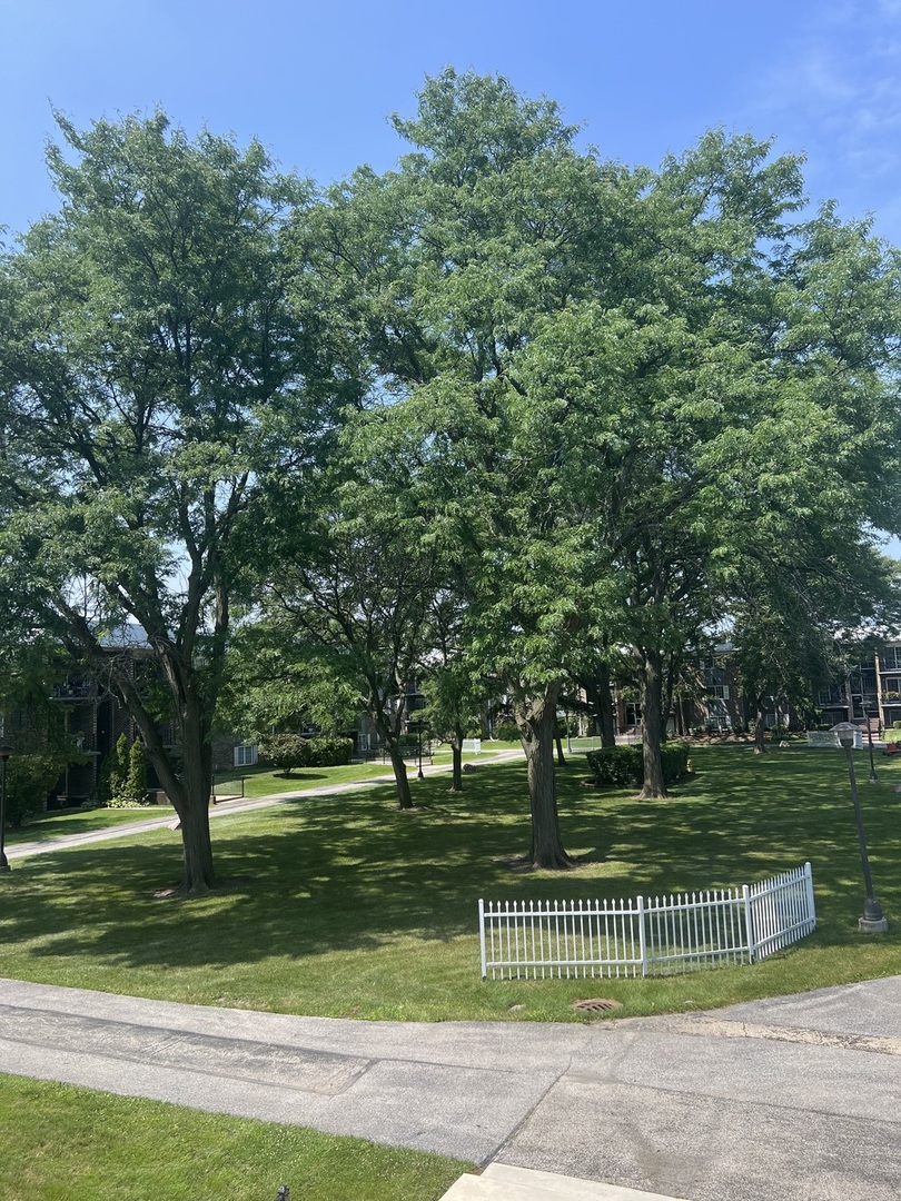 1505 N Windsor Drive #206, Arlington Heights, IL 60004